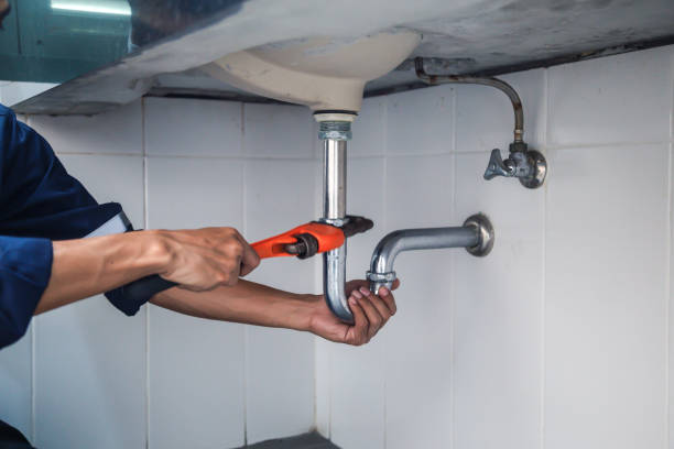 Best Leak Detection Services  in Carbondale, KS